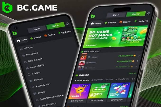 Exploring BC.Game Crypto Casino in India A Comprehensive Guide