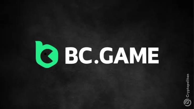 Understanding BC.Game Verification KYC and Its Importance
