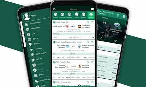Understanding BetWinner Your Ultimate Betting Experience